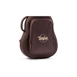 Taylor Aero Case GS Mini