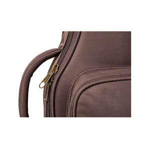 Taylor Aero Case GS Mini