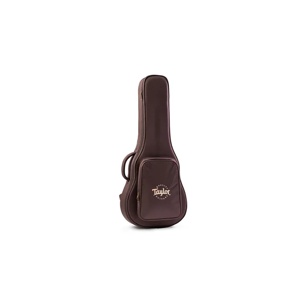 Taylor Aero Case GS Mini