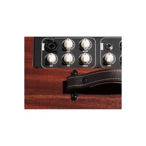 Taylor Amp Circa 74 AV150-10 Koa