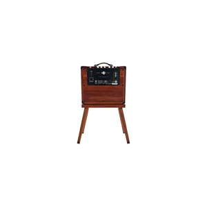 Taylor Amp Circa 74 AV150-10