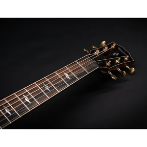 Taylor BE 814ce Adirondack Next Gen