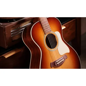 Taylor Ben Harper Gold Label 512e SEB