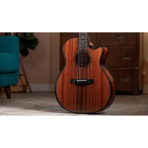Taylor Builde`s Edition 914ce