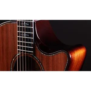 Taylor Builde`s Edition 914ce