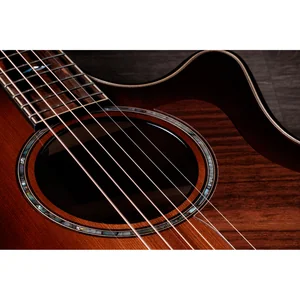 Taylor Builder’s Ed. 814ce Sinker