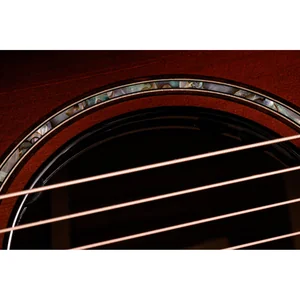 Taylor Builder’s Ed. 814ce Sinker
