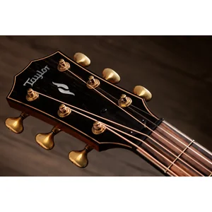 Taylor Builder’s Ed. 814ce Sinker