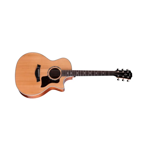 Taylor Builders Edition 514ce Next Ge