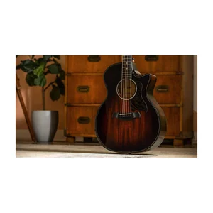 Taylor Builders Edition 524ce NG