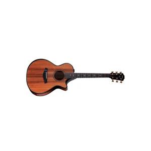 Taylor Builders Edition 912ce Sinker