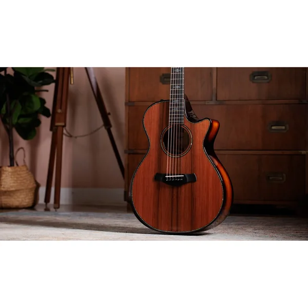 Taylor Builders Edition 912ce Sinker