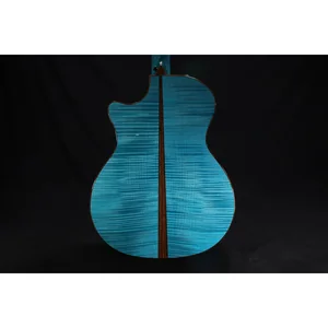 Taylor C14ce B6023 Custom #23