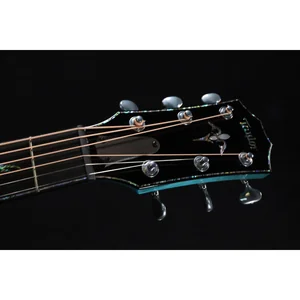 Taylor C14ce B6023 Custom #23