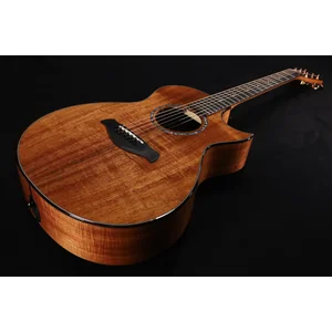 Taylor C22ce B6041 Custom #41