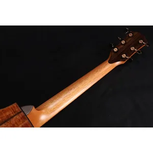 Taylor C22ce B6041 Custom #41