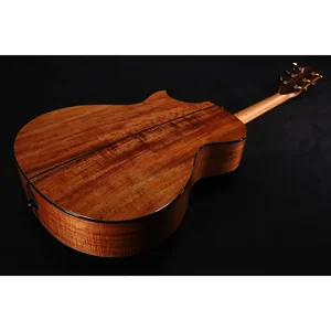 Taylor C22ce B6041 Custom #41