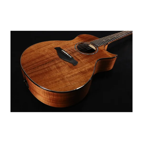 Taylor C22ce B6041 Custom #41