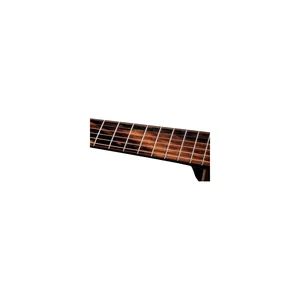 Taylor C24ce B6002 Custom #2