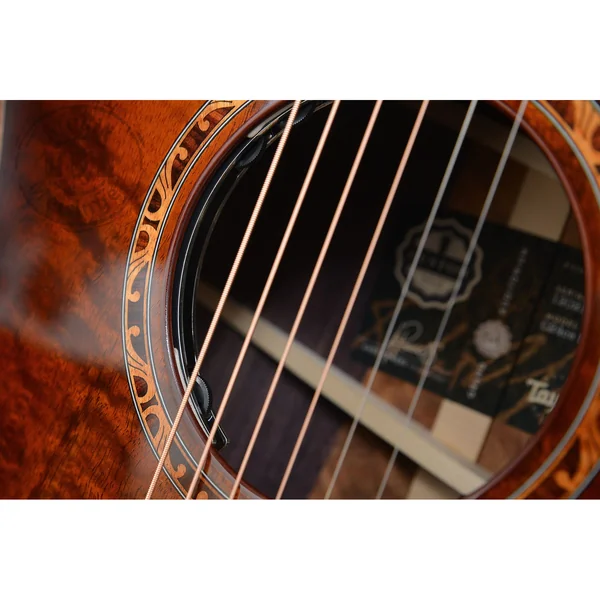 Taylor C24ce B6002 Custom #2