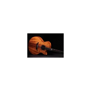Taylor C25ce B6005 Custom #5