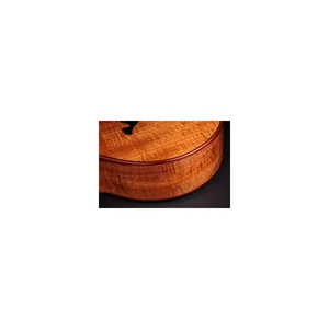 Taylor C25ce B6005 Custom #5