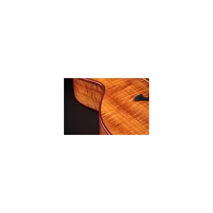 Taylor C25ce B6005 Custom #5