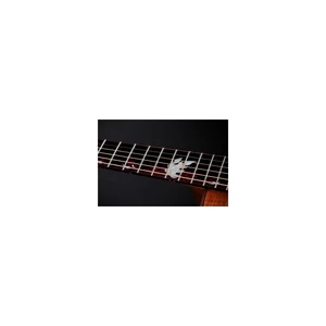 Taylor C25ce B6005 Custom #5