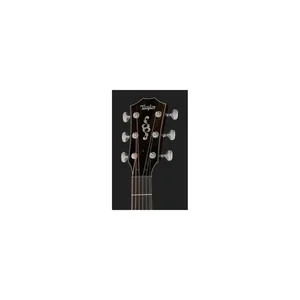 Taylor Custom #18: C14ce B5018