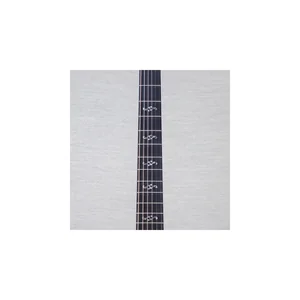 Taylor Custom #18: C14ce B5018