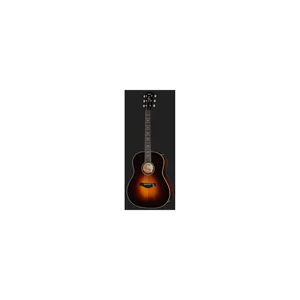 Taylor Custom #2: C17e B5002