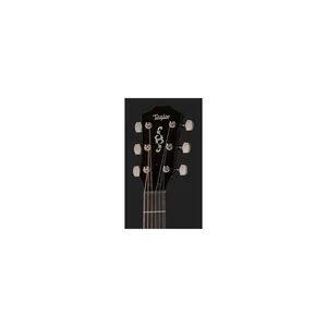 Taylor Custom #2: C17e B5002