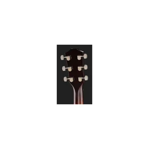 Taylor Custom #2: C17e B5002