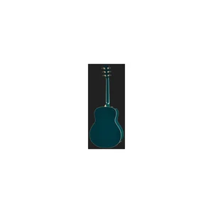 Taylor Custom #33: C18e B5033
