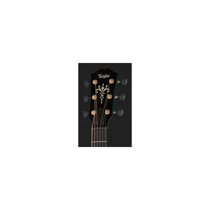 Taylor Custom #33: C18e B5033