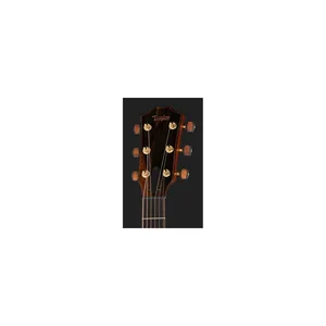 Taylor Custom #36: The Bengal