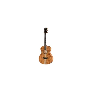 Taylor Custom #40: C22e 12-Fret B5040