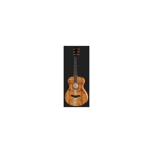 Taylor Custom #40: C22e 12-Fret B5040
