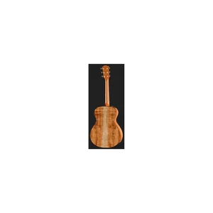 Taylor Custom #40: C22e 12-Fret B5040