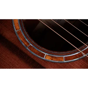 Taylor Custom #40: C22e 12-Fret B5040