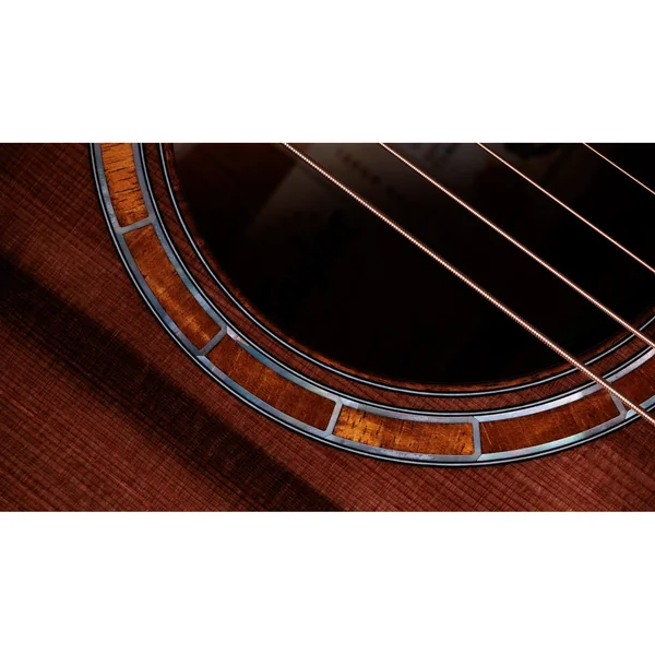 Taylor Custom #40: C22e 12-Fret B5040