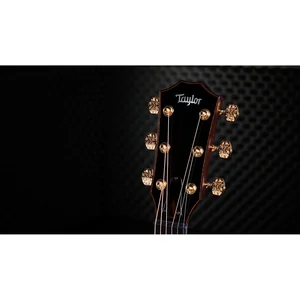 Taylor Custom #40: C22e 12-Fret B5040