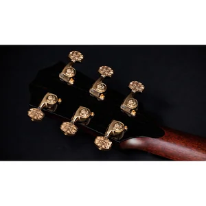 Taylor Custom #40: C22e 12-Fret B5040