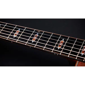 Taylor Custom #40: C22e 12-Fret B5040