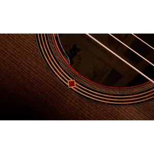 Taylor Custom #40: C22e 12-Fret B5040
