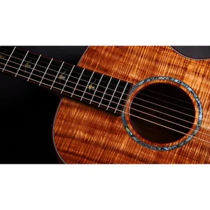 Taylor Custom #40: C22e 12-Fret B5040