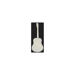 Taylor Custom #5: C17e B5005