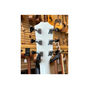Taylor Custom #5: C17e B5005