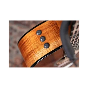 Taylor Custom GA-9