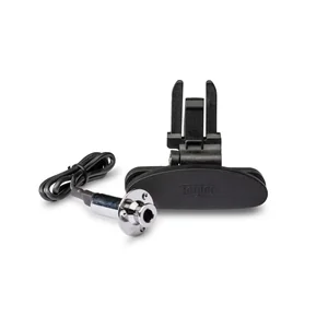 Taylor ES Go Pickup GS Mini